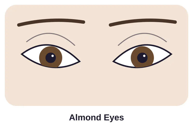 Illustration of almond eyes