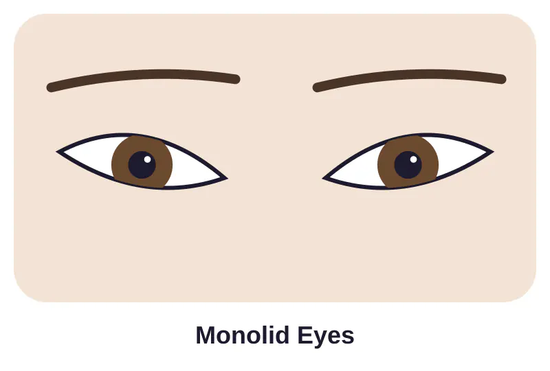Illustration of monolid eyes