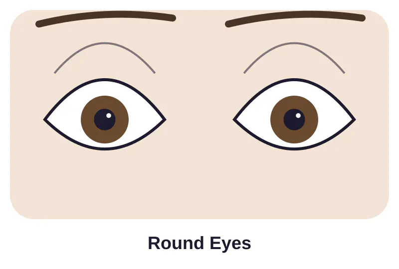 Illustration of round eyes