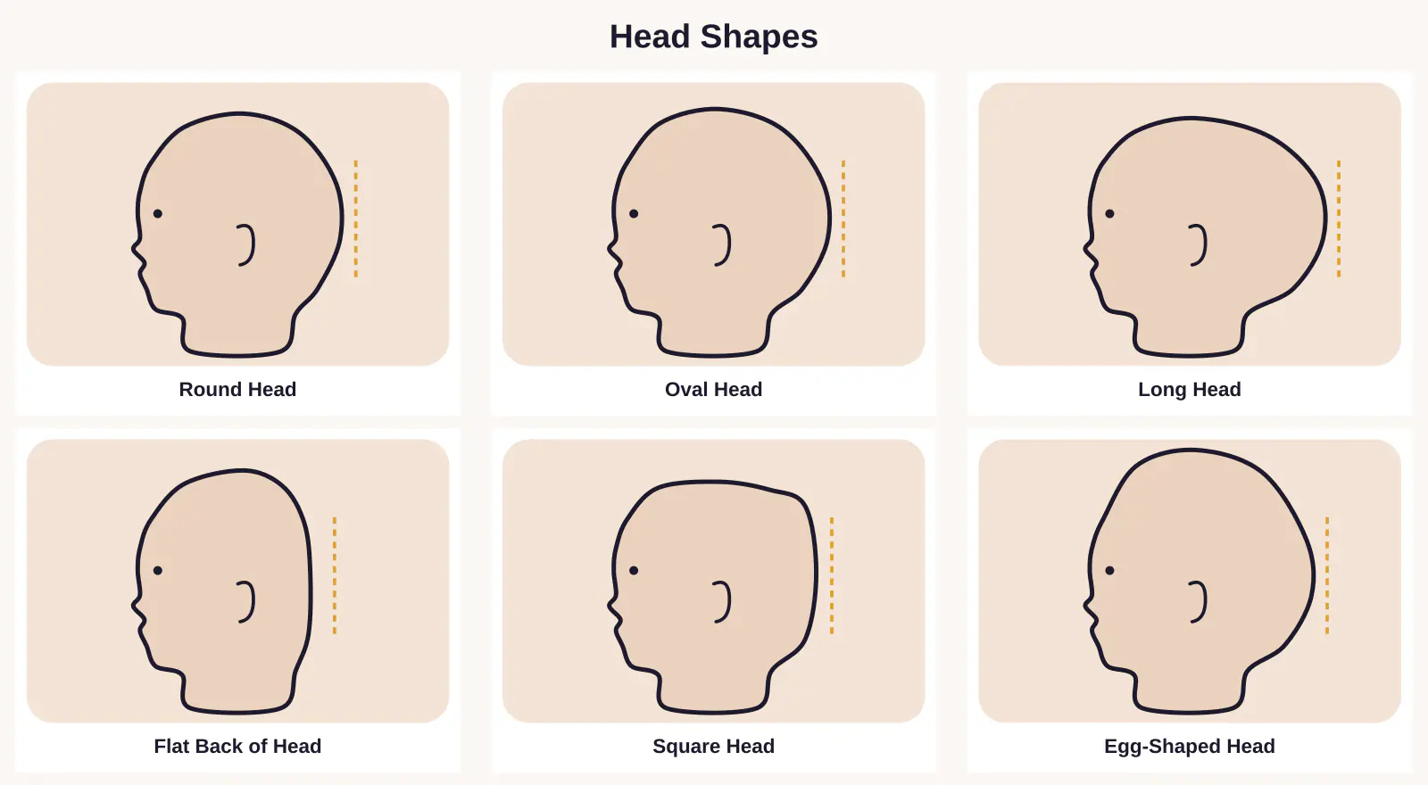 Chart of head shapes: Round Head, Oval Head, Long Head, Flat Back of Head, Square Head, Egg-Shaped Head