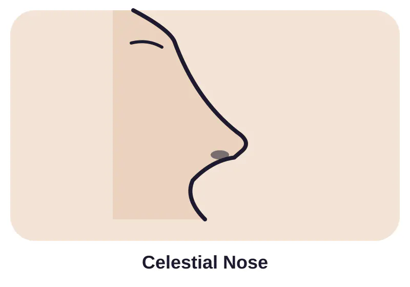 Illustration of celestial nose