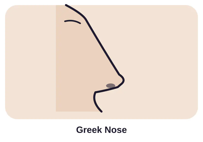 Illustration of greek nose