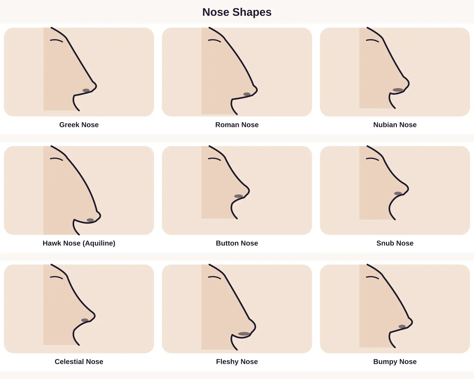 Chart of nose shapes: Greek Nose, Roman Nose, Nubian Nose, Hawk Nose (Aquiline), Button Nose, Snub Nose, Celestial Nose, Fleshy Nose, Bumpy Nose